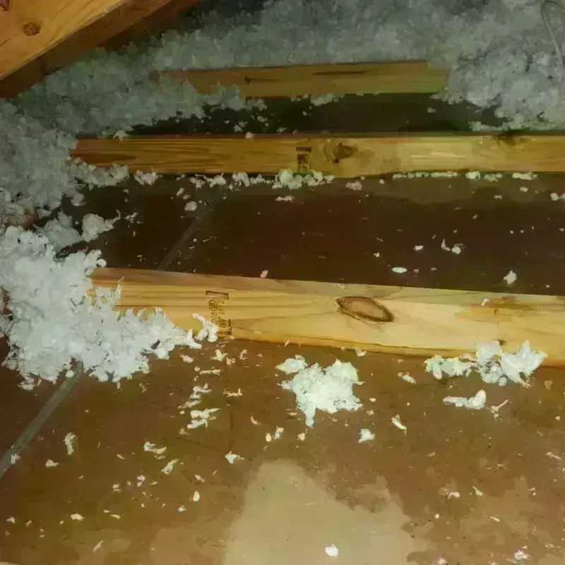 Attic Water Damage in Riesel, TX